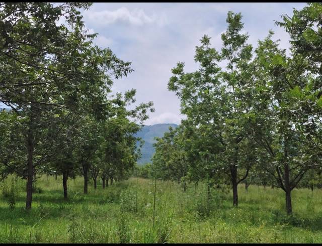 96HA FARM FOR SALE IN HEKPOORT